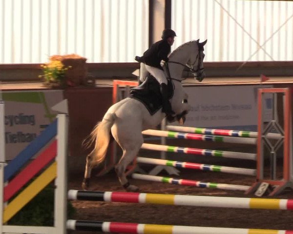 Reitturnier Damp-Dorotheental 2019