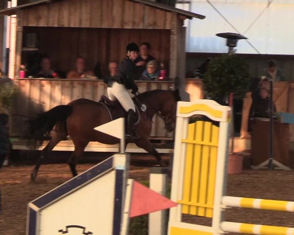 Reitturnier Damp-Dorotheental 2019