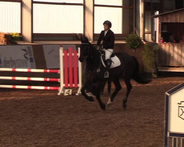 Reitturnier Damp-Dorotheental 2019