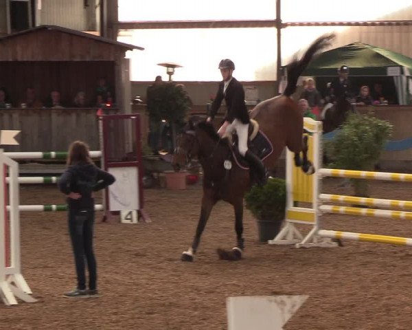 Reitturnier Damp-Dorotheental 2019