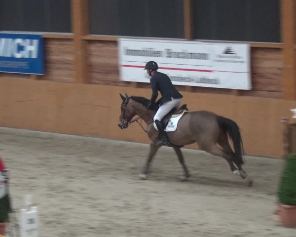 Reitturnier Xanten 2019