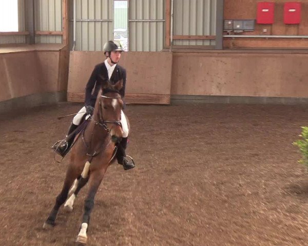 Reitturnier Damp-Dorotheental 2019