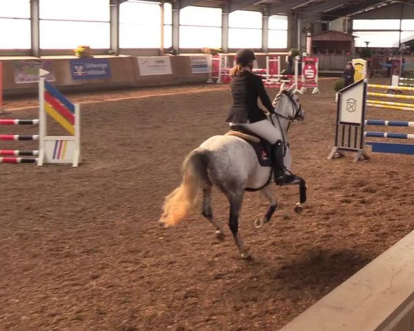 Reitturnier Damp-Dorotheental 2019