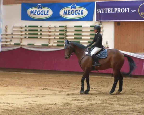Reitturnier Eicherloh RH Laurent/Obb. 2019