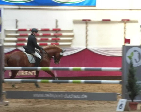 Reitturnier Eicherloh RH Laurent/Obb. 2019