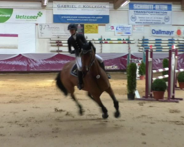 Reitturnier Eicherloh RH Laurent/Obb. 2019