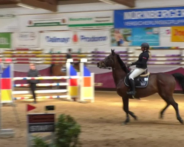 Reitturnier Eicherloh RH Laurent/Obb. 2019