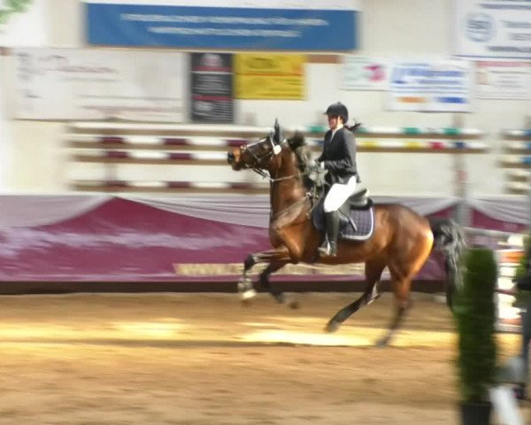 Reitturnier Eicherloh RH Laurent/Obb. 2019