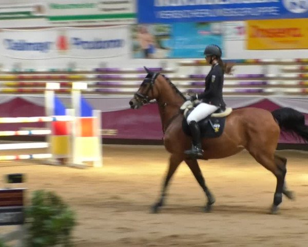 Reitturnier Eicherloh RH Laurent/Obb. 2019