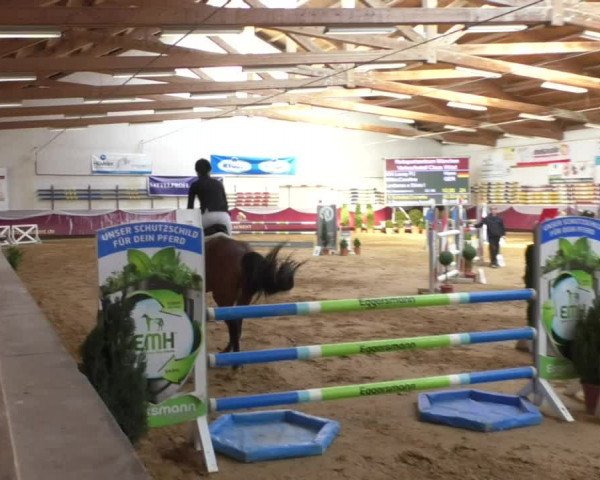 Reitturnier Eicherloh RH Laurent/Obb. 2019