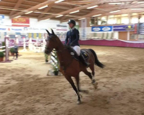 Reitturnier Eicherloh RH Laurent/Obb. 2019