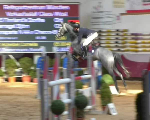 Reitturnier Eicherloh RH Laurent/Obb. 2019