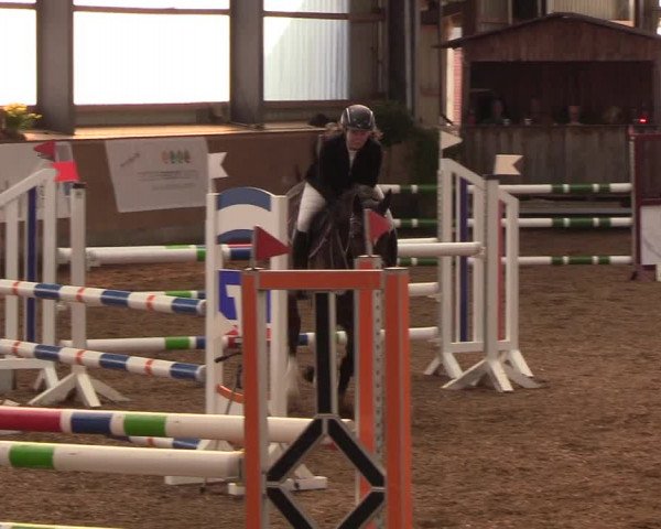 Reitturnier Damp-Dorotheental 2019