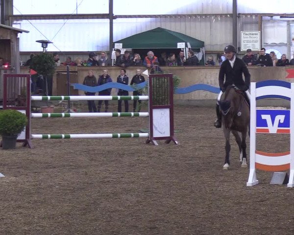 Reitturnier Damp-Dorotheental 2019