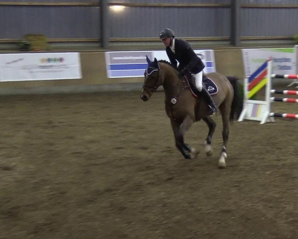 Reitturnier Damp-Dorotheental 2019
