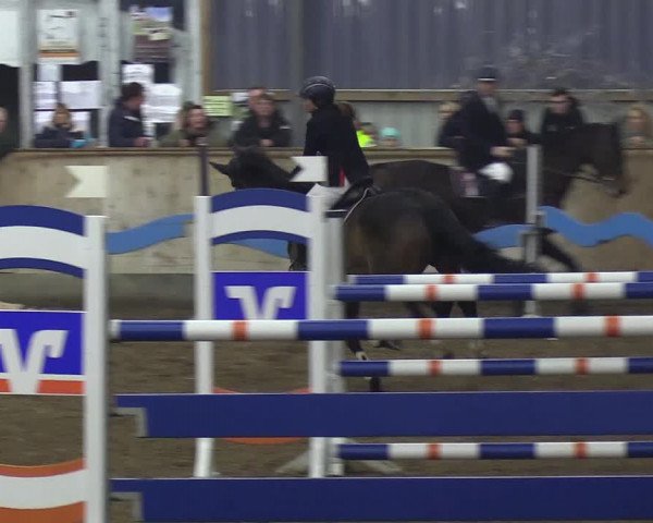 Reitturnier Damp-Dorotheental 2019