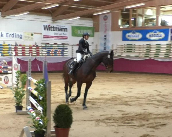 Reitturnier Eicherloh RH Laurent/Obb. 2019