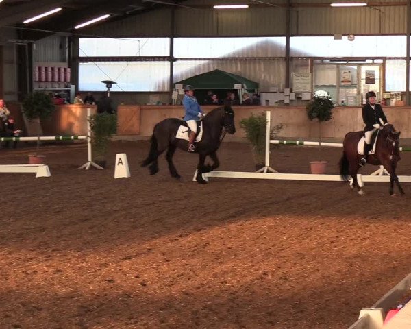 Reitturnier Damp-Dorotheental 2019