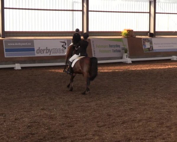Reitturnier Damp-Dorotheental 2019