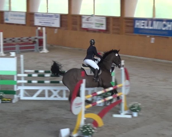 Reitturnier Xanten 2019