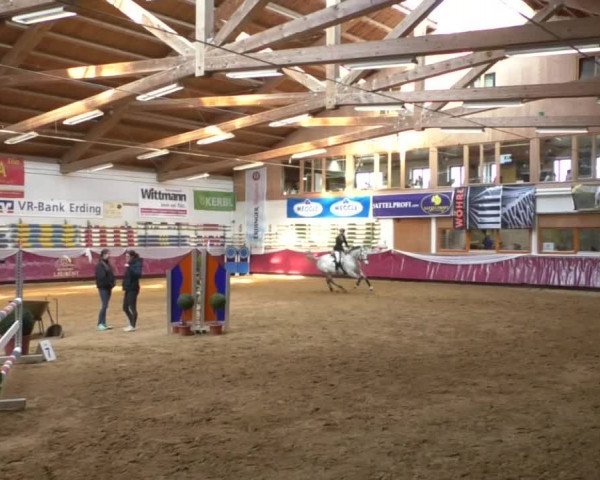 Reitturnier Eicherloh RH Laurent/Obb. 2019