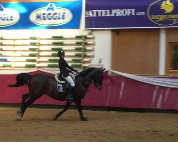 Reitturnier Eicherloh RH Laurent/Obb. 2019