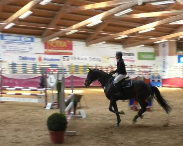 Reitturnier Eicherloh RH Laurent/Obb. 2019