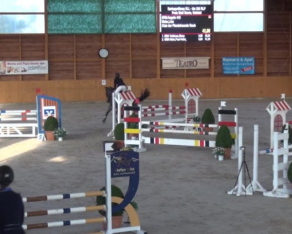 Reitturnier Xanten 2019