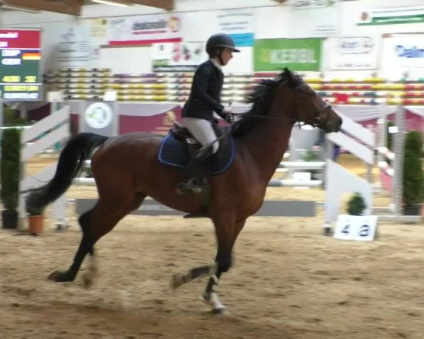 Reitturnier Eicherloh RH Laurent/Obb. 2019