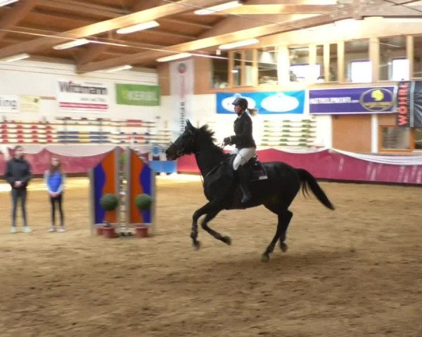 Reitturnier Eicherloh RH Laurent/Obb. 2019