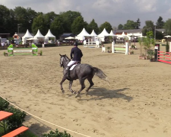 Equus Colonius - Reitanlage Brüse Köln 2021