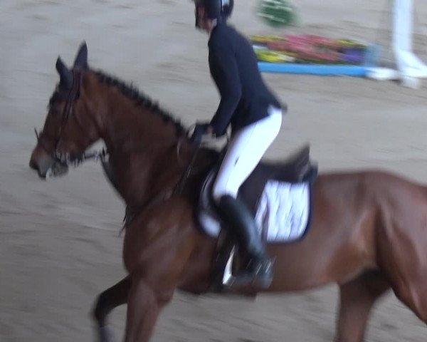 Reitturnier Xanten 2019