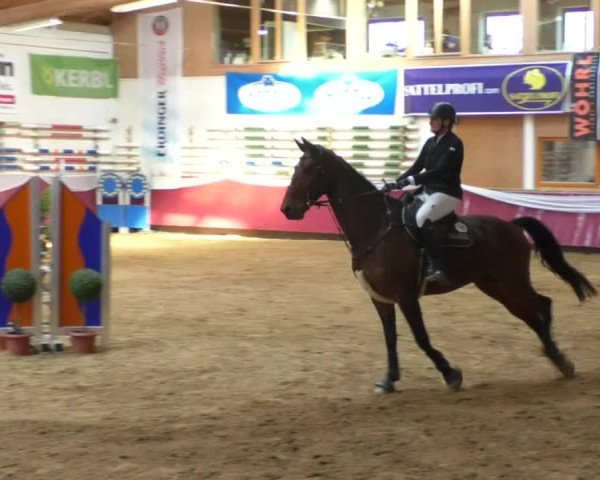Reitturnier Eicherloh RH Laurent/Obb. 2019