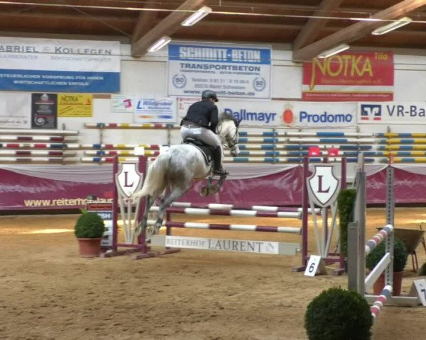 Reitturnier Eicherloh RH Laurent/Obb. 2019