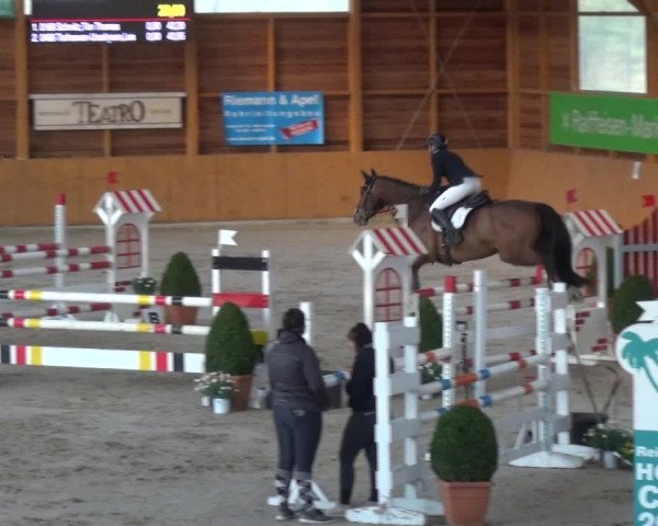 Reitturnier Xanten 2019