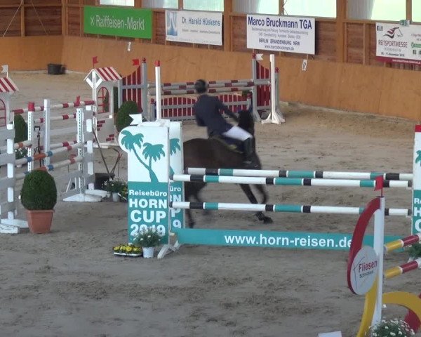 Reitturnier Xanten 2019