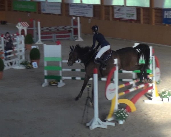 Reitturnier Xanten 2019
