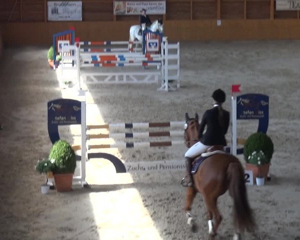 Reitturnier Xanten 2019