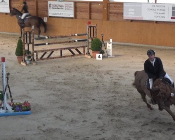 Reitturnier Xanten 2019