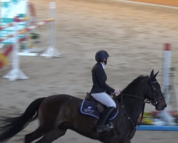 Reitturnier Xanten 2019