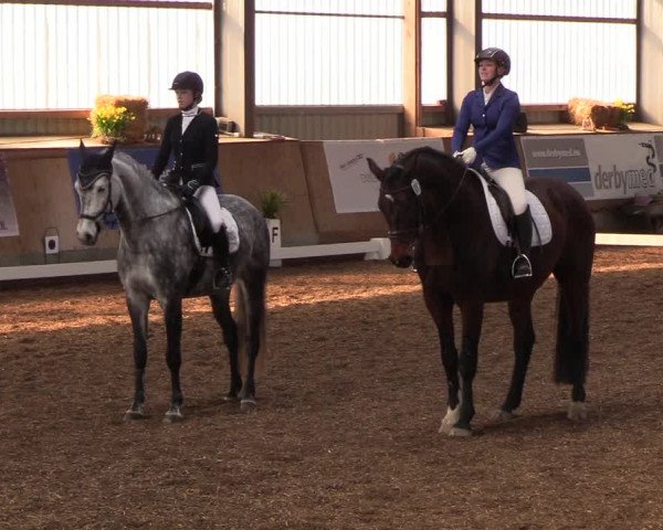 Reitturnier Damp-Dorotheental 2019