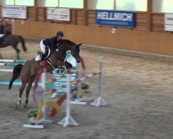 Reitturnier Xanten 2019