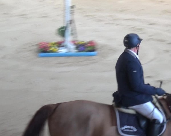Reitturnier Xanten 2019