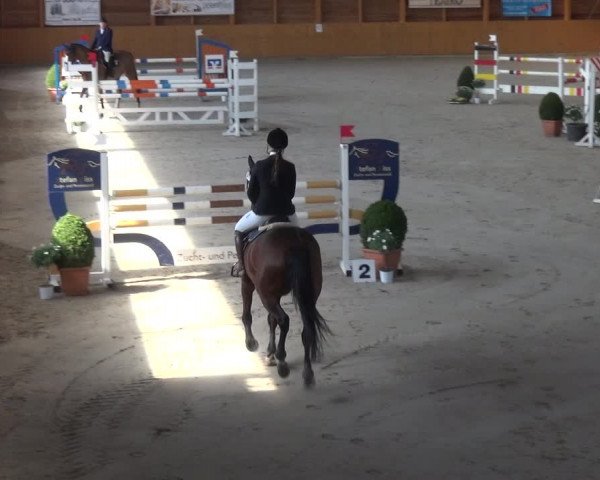 Reitturnier Xanten 2019