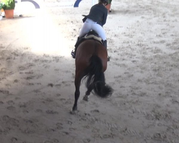 Reitturnier Xanten 2019