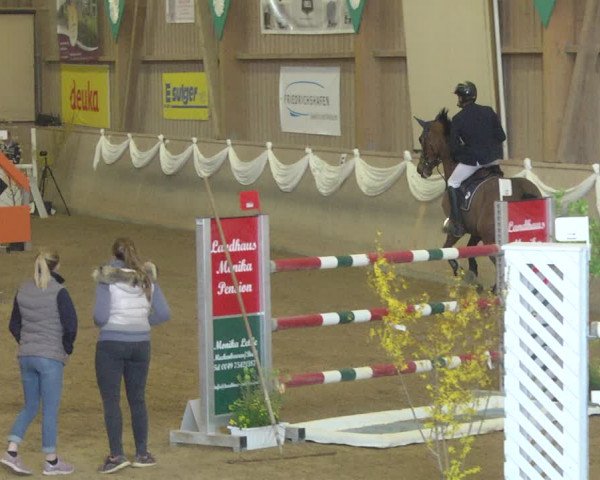 Reitturnier Friedrichshafen - Ailingen 2019
