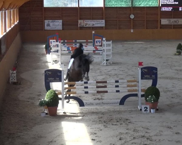Reitturnier Xanten 2019