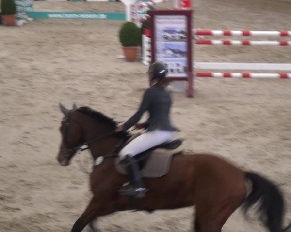Reitturnier Xanten 2019