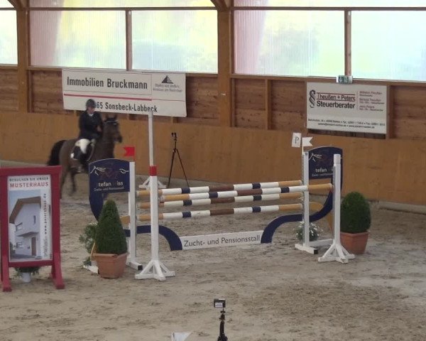 Reitturnier Xanten 2019