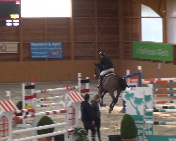 Reitturnier Xanten 2019